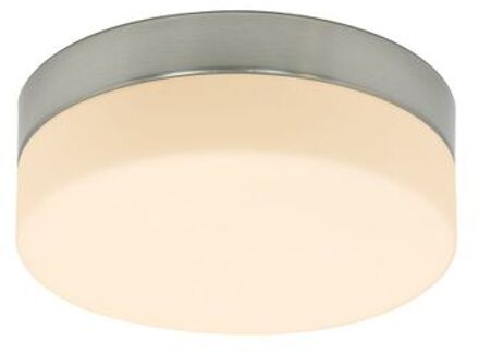 Ceiling and wall Plafondlamp RVS Zilver