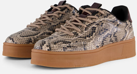 Cellini Snake Sneakers beige Synthetisch - 36,37,38,39,40,41,42