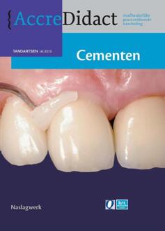 Cementen - Boek Joep Laverman (9089761330)