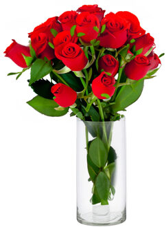 cepewa Bloemenvaas Cylinder - helder transparant - glas - D15 x H30 cm - hand geblazen glas