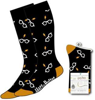 Cerda Harry Potter Socks Glasses & Lightning 38-45