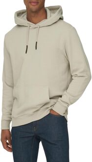 Ceres Life Hoodie Heren beige