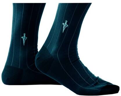 Cesare Paciotti Blauwe herensokken met aqua blauwe strepen - 45