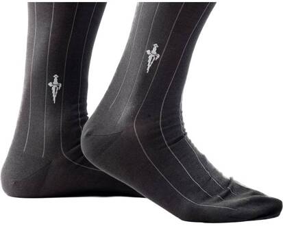 Cesare Paciotti Grijze herensokken met Aqua Grijze strepen Grijs - 39