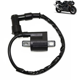 CG-125 Motorfiets Bobine Voor 50cc 150cc 200cc 250cc GY6 Scooter Bromfiets Atv Gokart Dirt Bike Motor 12V