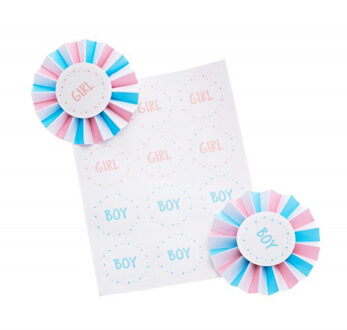 CHAKS Baby Gender Reveal stickers en badges - roze/blauw - Team Boy or Girl -? baby party Multi