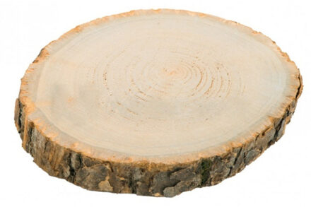 CHAKS Decoratie boomschijf met schors - hout - D30 x H2 cm - rond