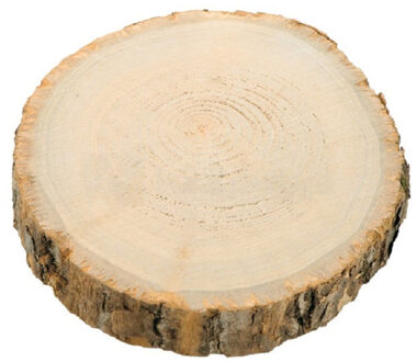 CHAKS Kaarsenplateau boomschijf met schors - hout - D17 x H2 cm - rond - Kaarsenplateaus Bruin