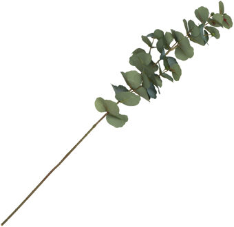 CHAKS Kunsttak Eucalyptus - 69 cm - kunst zijdebloemen - kunstplant - met knoppen