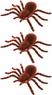 CHAKS Nep spinnen 18 cm - 3x - bruin - velvet/fluweel tarantula - Horror/griezel thema decoratie beestjes