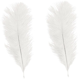 CHAKS Roetveeg Piet Struisvogelveren - 2x - creme wit - 35 cm - Sinterklaas verkleedveer