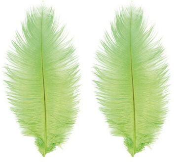 CHAKS Roetveeg Piet Struisvogelveren - 2x - lime groen - 30-35 cm - Sinterklaas verkleedveer
