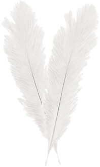 CHAKS Struisvogelveer/sierveer - 2x - creme wit - 55-60 cm - decoratie/hobbymateriaal