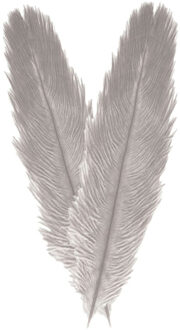 CHAKS Struisvogelveer/sierveer - 2x - licht grijs - 55-60 cm - decoratie/hobbymateriaal