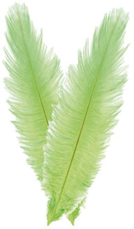 CHAKS Struisvogelveer/sierveer - 2x - lime groen - 55-60 cm - decoratie/hobbymateriaal