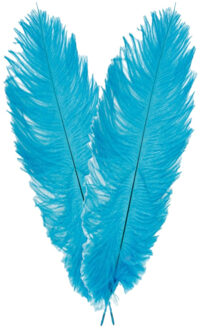 CHAKS Struisvogelveer/sierveer - 2x - turquoise - 55-60 cm - decoratie/hobbymateriaal