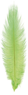 CHAKS Struisvogelveer/sierveer - lime groen - 55-60 cm - decoratie/hobbymateriaal - Verkleedveren