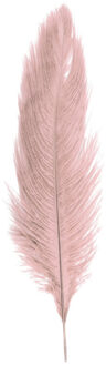 CHAKS Struisvogelveer/sierveer - oud roze - 55-60 cm - decoratie/hobbymateriaal