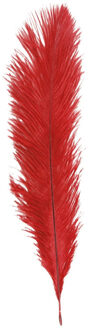 CHAKS Struisvogelveer/sierveer - rood - 55-60 cm - decoratie/hobbymateriaal - Verkleedveren