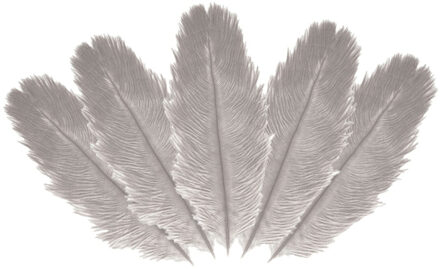 CHAKS Struisvogelveren/sierveren - 10x - licht grijs - 20-25 cm - decoratie/hobbymateriaal