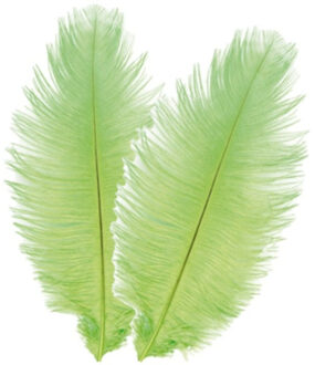 CHAKS Struisvogelveren/sierveren - 2x - lime groen - 30-35 cm - decoratie/hobbymateriaal
