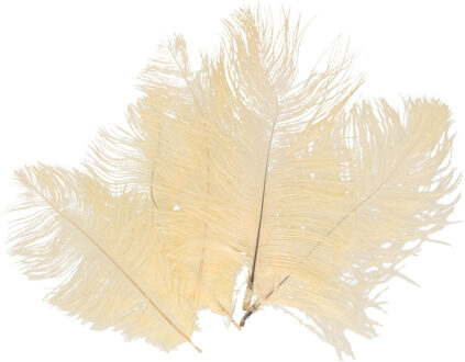 CHAKS Struisvogelveren/sierveren - 5x - cr?me - 20-25 cm - decoratie/hobbymateriaal Creme