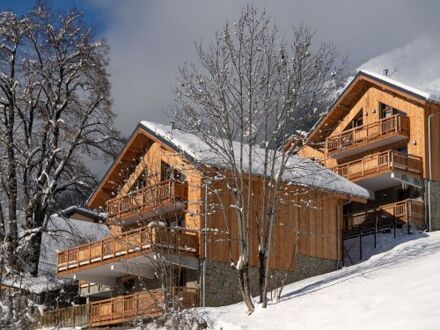 Chalet Harmonie - 12-14 personen