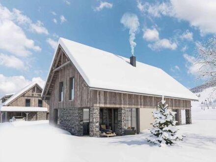 Chalet Mountain Chalet Alpinchique - 8 personen