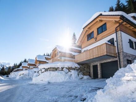Chalet Riesneralm Edelweiss Lodge - 8-10 personen