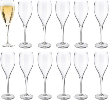 Champagneglas - 12x - Elytium - gehard glas - 17 cl - flutes - prosecco / cava