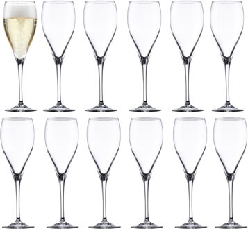 Champagneglas - 12x - gehard glas - 17 cl - flutes - prosecco / cava