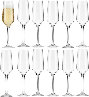 Champagneglas - 12x - Noah - gehard glas - 17,5 cl - flutes - prosecco / cava