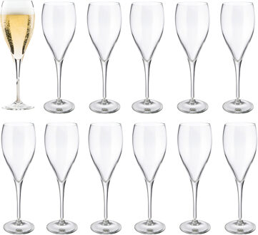 Champagneglas - 24x - Elytium - gehard glas - 17 cl - flutes - prosecco / cava