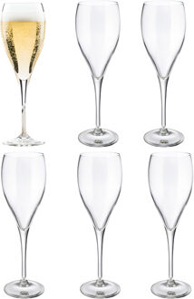 Champagneglas - 6x - Elytium - gehard glas - 17 cl - flutes - prosecco / cava