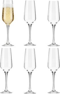 Champagneglas - 6x - Noah - gehard glas - 17 cl - flutes
