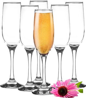 Champagneglazen - 6x - Rocroi - 200 ml - D5 x H23 cm - glas - flutes