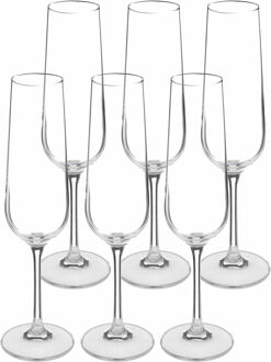 Champagneglazen set Lena - doosje 24x stuks - chique transparant glas - 20 CL