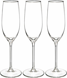 Champagneglazen set Lina - doosje 12x stuks - chique transparant glas - 21 CL - D4.5 x H23 cm