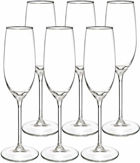 Champagneglazen set Lina - doosje 24x stuks - chique transparant glas - 21 CL - D4.5 x H23 cm