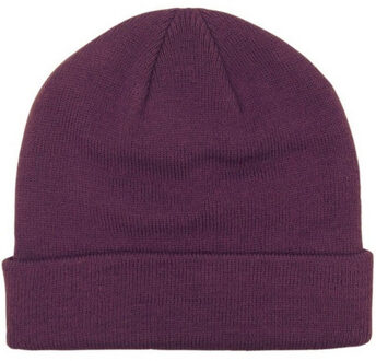 Champion Geborduurde muts voor volwassenen Paars - One size
