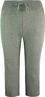 Champion Heritage Dames Grijze Capri Joggers Grijs