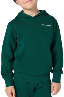 Champion Icons Small Logo Hoodie Junior - 140