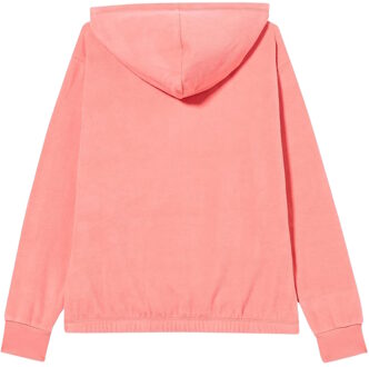 Champion Kampioen Hoodie - maat XL Roze