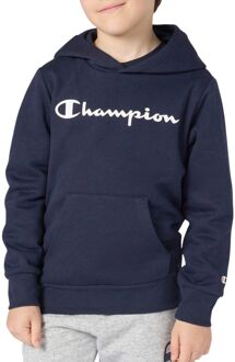 Champion Script Logo Hoodie Junior - 176