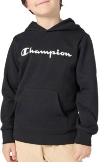 Champion Script Logo Hoodie Junior - 176