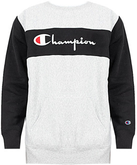 Champion Sweatshirt Champion , Gray , Heren - M,S,Xs