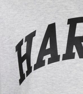 Champion T-Shirt Harvard Champion , Grijs , Heren - 2Xl,Xl,L,M