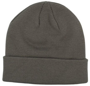 Champion Uniseks volwassen beanie Grijs - One size