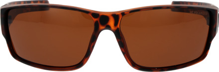 Champion Zonnebril CU5146 C03 63 Bruin