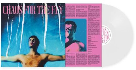 Chaos For The Fly - Grian Chatten